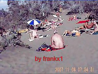 Amatorskie Plaża Seks Grupowy Nudyści Orgia Na Dworzu Publiczne Swingersi